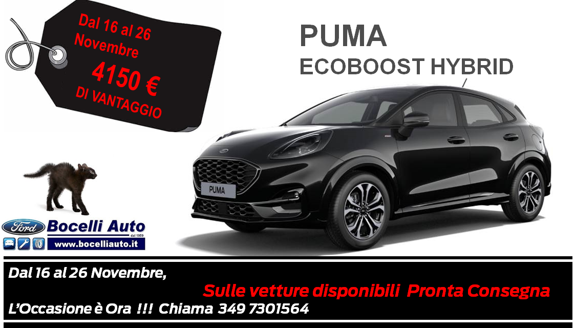 PumaBlack1122